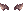 ̃wAoh